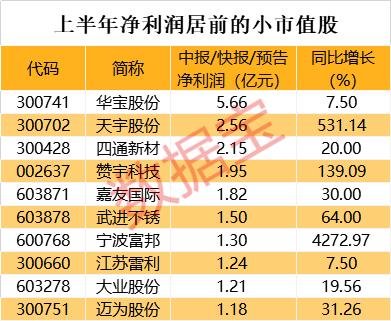 股票最新中报业绩揭示企业成长与盈利潜力展望